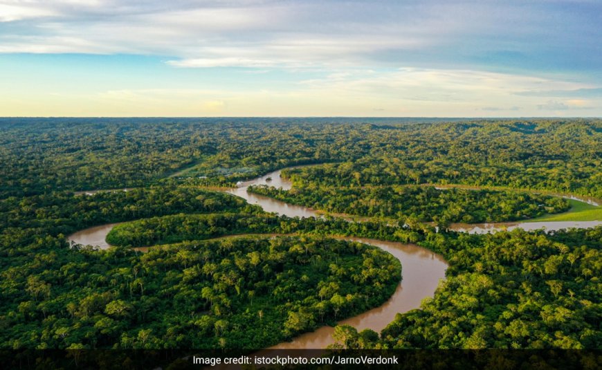 Big Win For Amazon Tribes Over Carbon Credits In Colombia