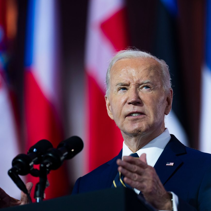 Biden Tries to Silence Democratic Doubters With Attacks on ‘Elites’