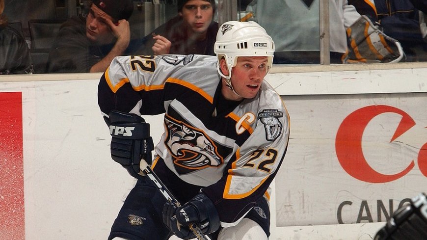 Former NHL player's family says he had CTE when he died by suicide