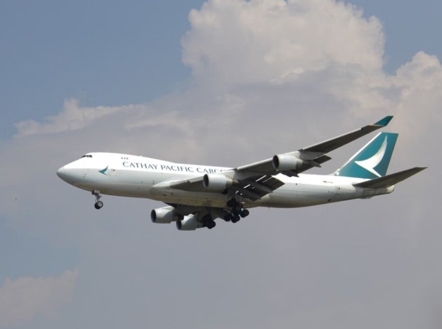 Cathay Pacific Passenger Hospitalised After Hand Baggage Falls On Her Head