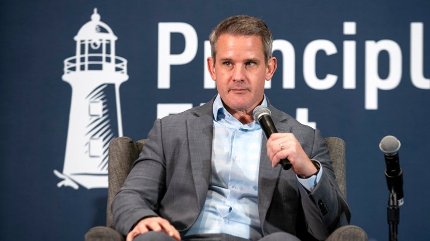 Kinzinger says JD Vance's response to shooting should 'disqualify' him from VP consideration