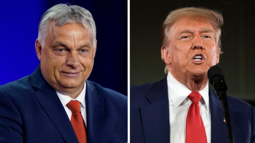 Trump, Orbán discuss 'peace mission 5.0' at Mar-a-Lago