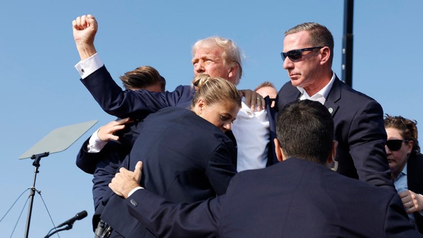 Trump reflects on stunning photo of him after being shot: 'Usually you have to die' to have iconic picture