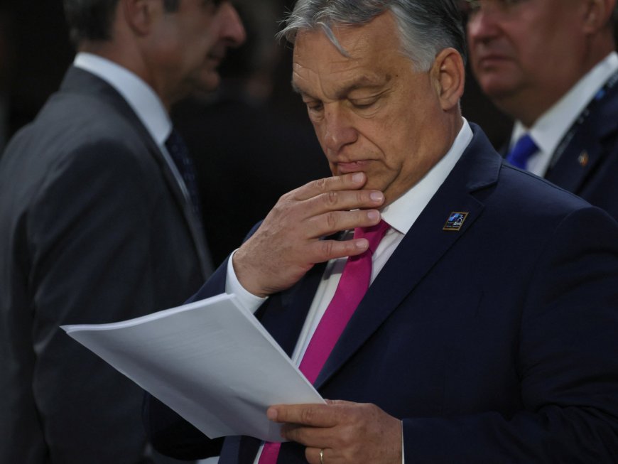 Orban’s ‘peacemaking’ mission: Did Hungary’s leader achieve anything?