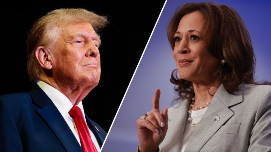 Harris will invoke legal career to position the race against Trump as 'prosecutor against the felon: Historian