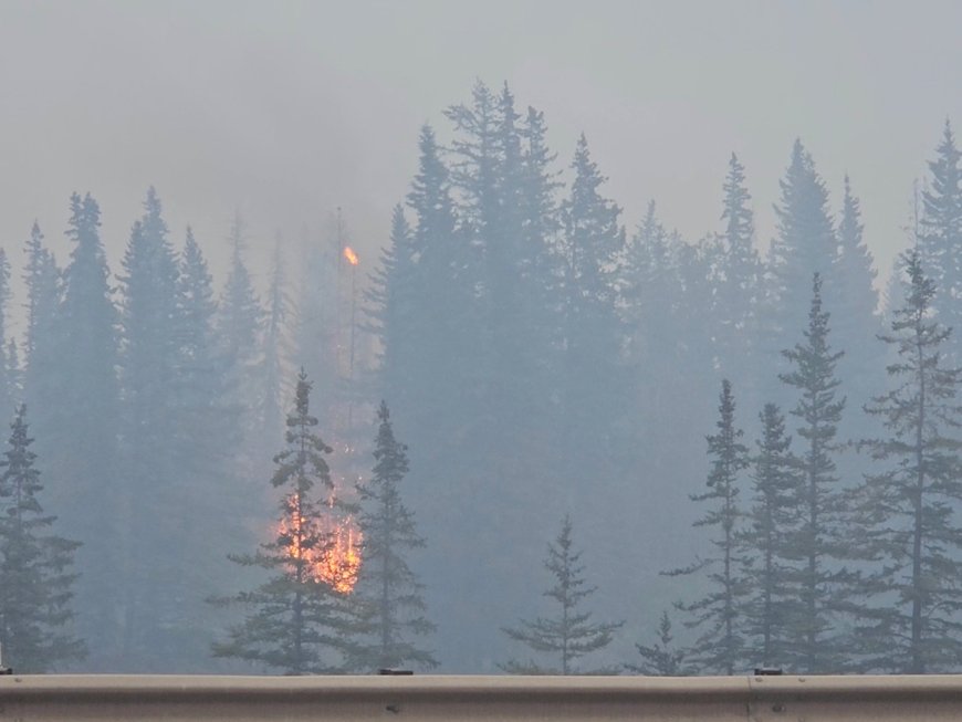 Thousands flee wildfires near Canada’s Jasper National Park