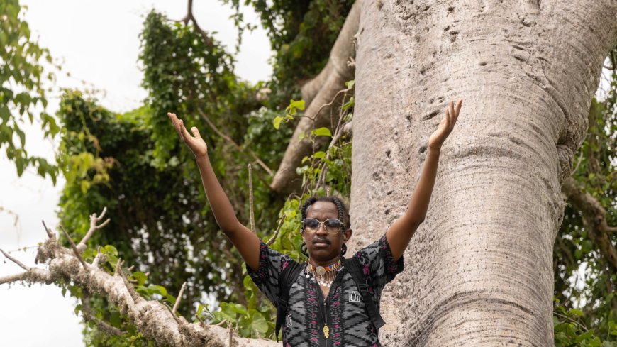 The Tree Whisperer: A Kenyan artist celebrates his love of the Baobab