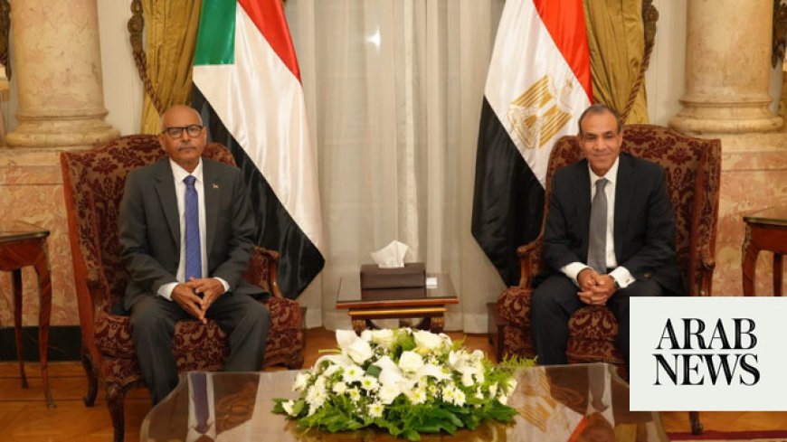 Egypt reiterates unwavering support for stability and security in war-torn Sudan