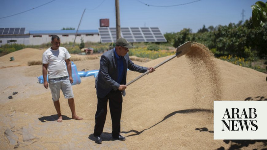 Climate change imperils drought-stricken Morocco’s cereal farmers and its food supply