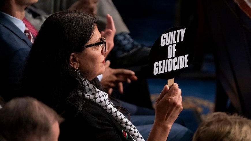 GOP lawmaker says Tlaib should be 'run out of town' over 'genocide' sign