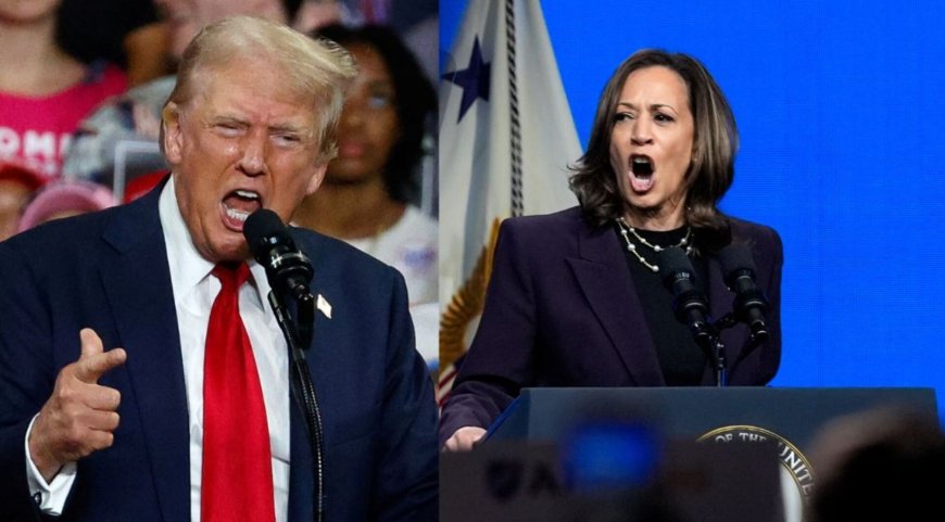 What issues do Trump and Harris want to fight the election on?