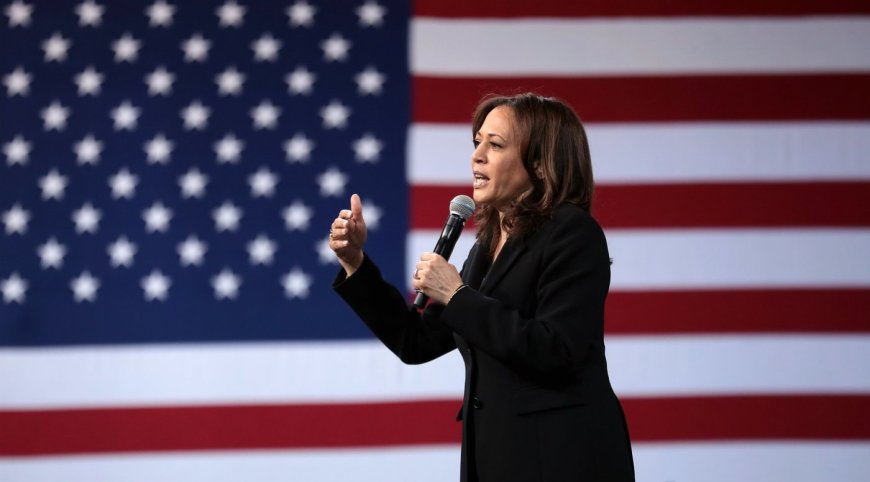 "Cat Lady, Brat": Media Attacks On Kamala Harris Follow A Bleak Pattern