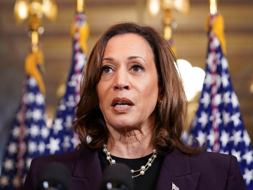 Kamala Harris shifts tone on Gaza, but advocates say US voters want more