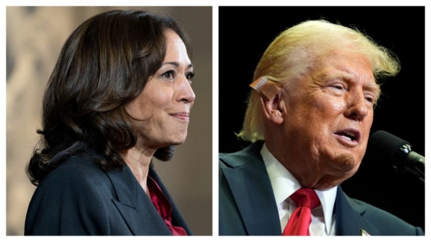 New Trump ad paints Harris as face of 'Bidenomics'