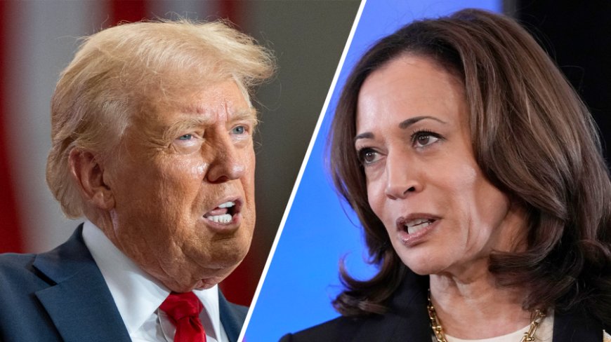 Trump says he'll 'probably' debate Harris: 'I can also make a case for not doing it'