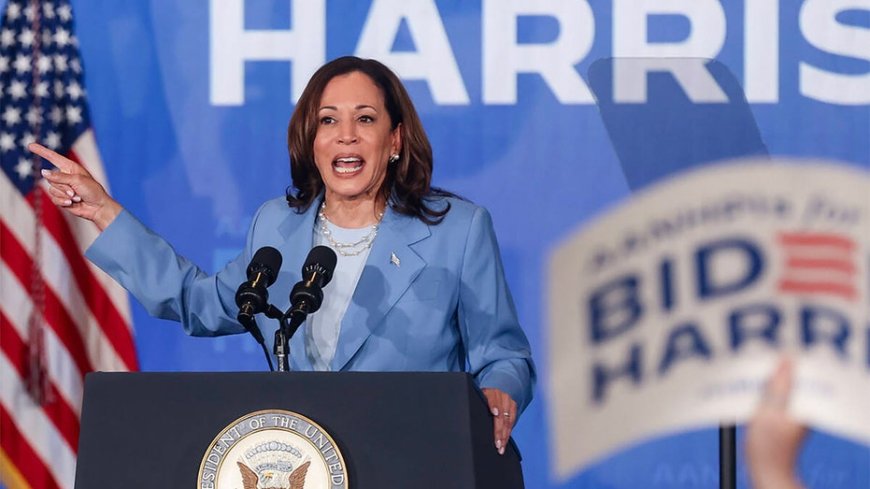 White dudes for Harris brings out celebs; myth in US that men are expected to be 'protectors and providers'