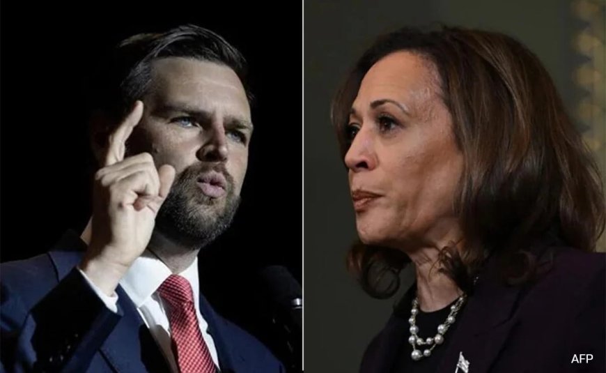 'Cat Ladies' Unite Against JD Vance's Sexist Remark For Kamala Harris