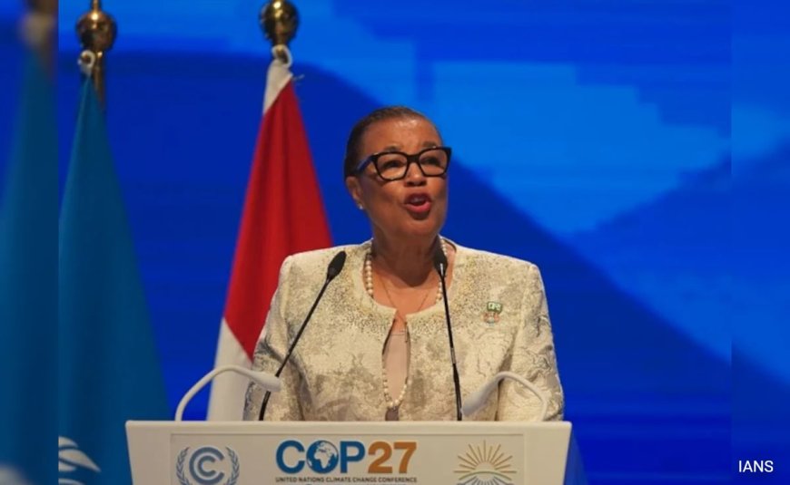 India Is Not Responsible For Climate Crisis, But...: Commonwealth Head