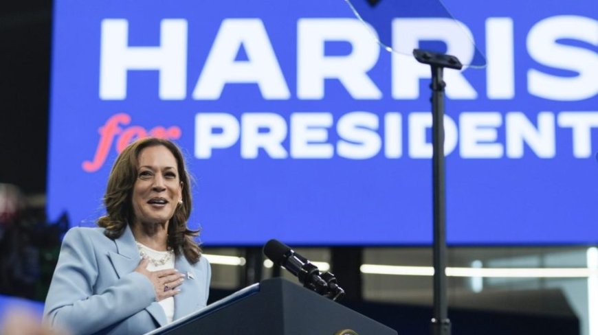 Majority of Democrats in new survey support Harris atop ticket