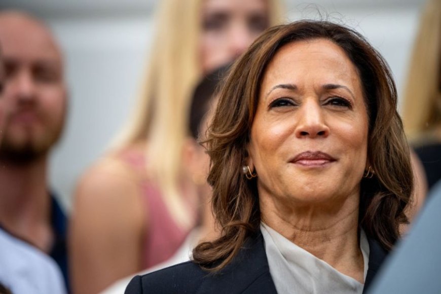 Democrats demand you celebrate Kamala Harris for precisely what doesn't matter