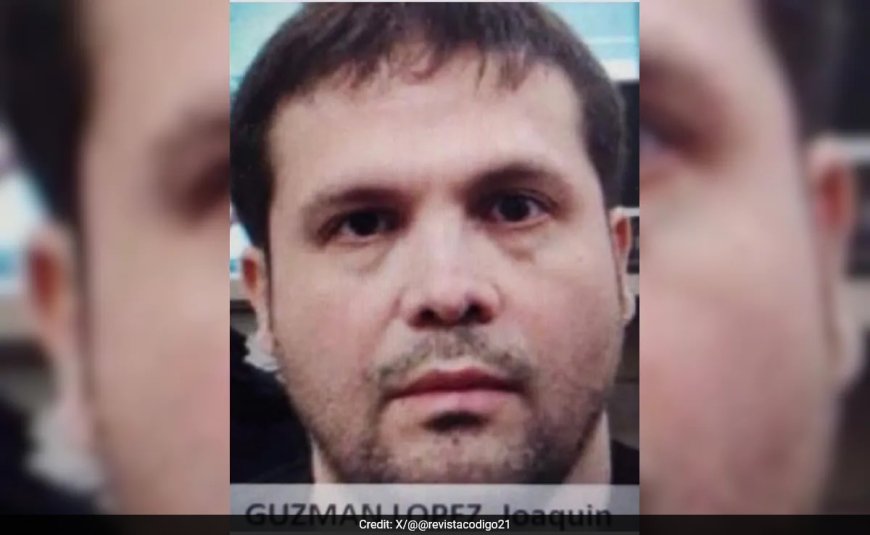 Mexican Drug Lord El Chapo's Son Didn't Kidnap Fellow Gangster, Says Lawyer