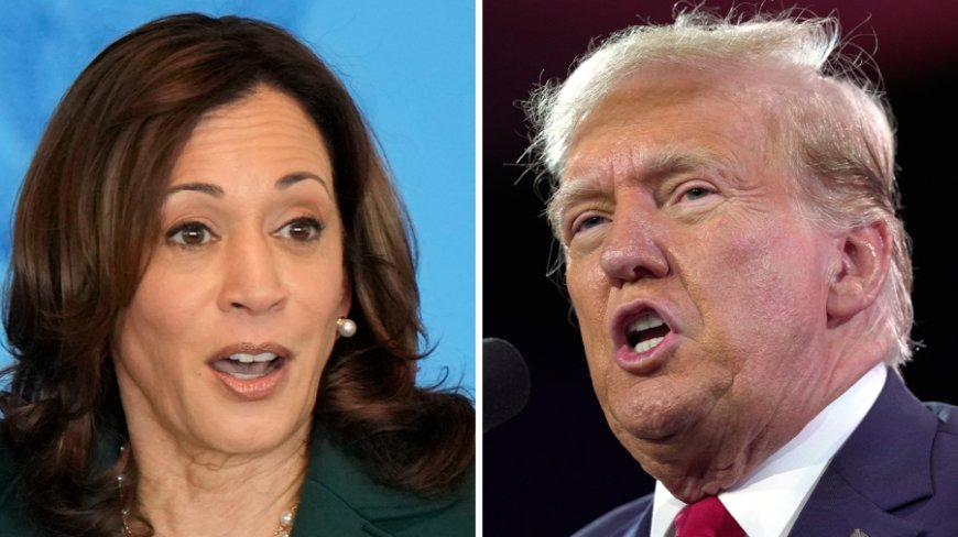 Harris slices Trump's national lead in half: New polling average