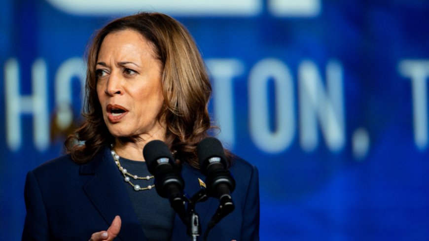 Harris responds to Gaza protesters at rally: ‘I am speaking now’