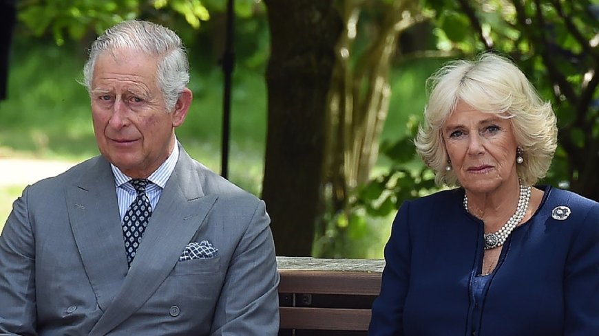 King Charles ‘overruled’ Queen Camilla when she didn’t want him to reveal his health conditions: author