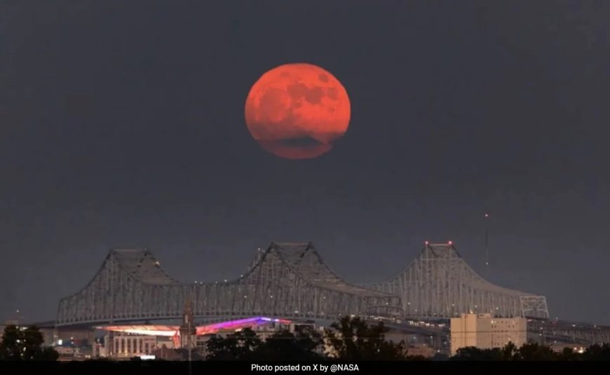 Elon Musk Says 1st Supermoon Of 2024, Also A Blue Moon, "Looks Amazing"