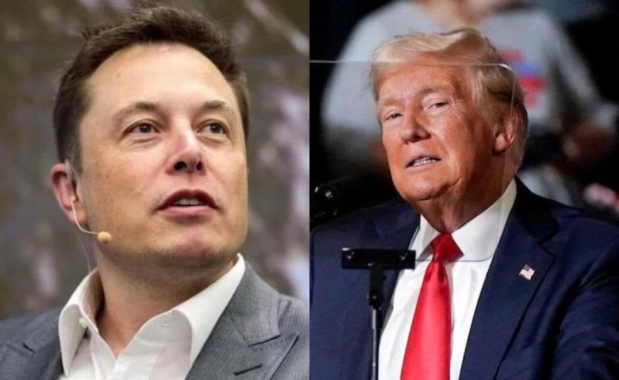 Elon Musk's Response After Trump Says He Would Make Him Adviser