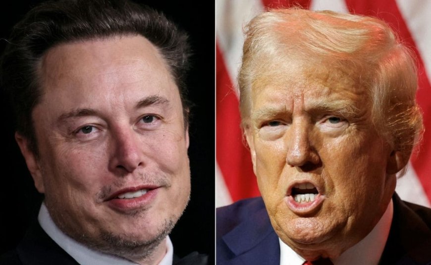 Trump Says May Appoint Elon Musk As Adviser If He Defeats Kamala Harris