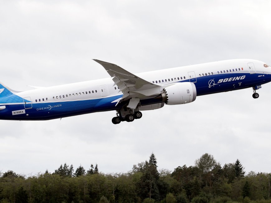 US orders inspections of Boeing 787 planes following midair plunge