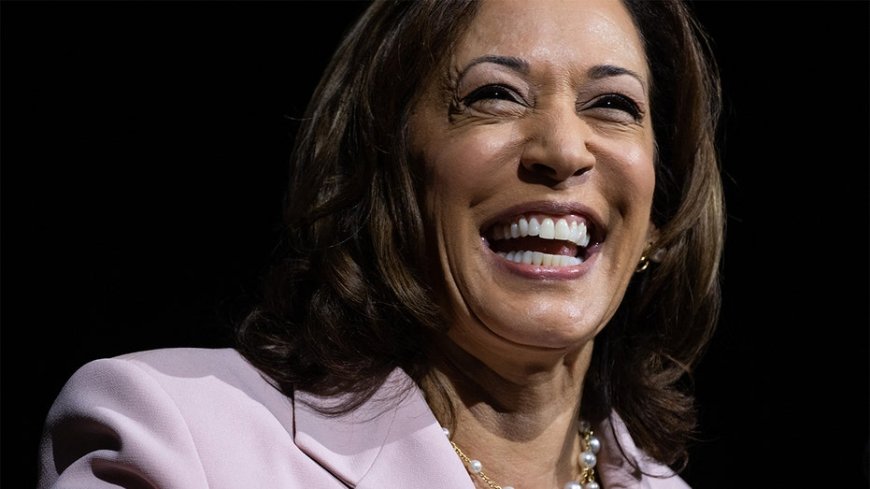 30 Days: Kamala Harris has not held a press conference since emerging as presumptive Democratic nominee