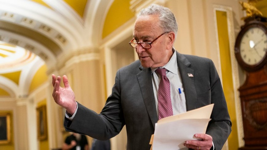 Schumer signals 2025 climate hopes