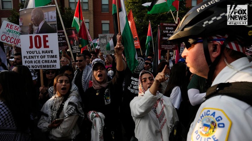 Anti-Israel demonstrations continue near DNC for 3rd night as crowds gather in larger numbers