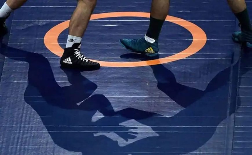 Let WFI Work, Women Wrestlers Can Get 4-5 Medals In 2028: Sanjay Singh