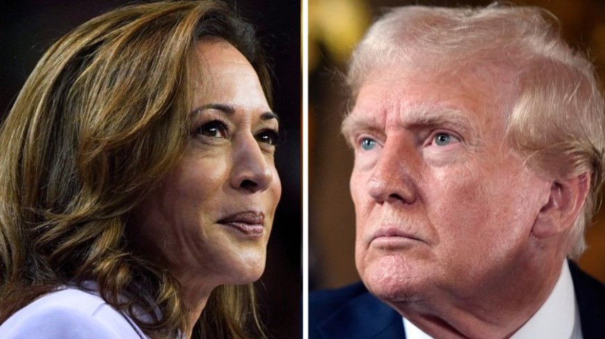 Harris leads Trump, boosts Democrats' chances for House, Senate