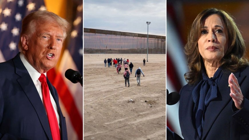 'Total bulls---': Trump campaign rips 'preposterous' Harris pro-border wall narrative after media report