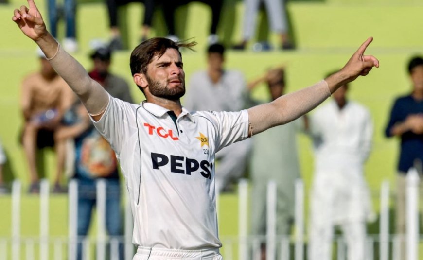 Shaheen Afridi Released From Pakistan's Test Squad For 2nd Bangladesh Test. PCB Reveals Reason