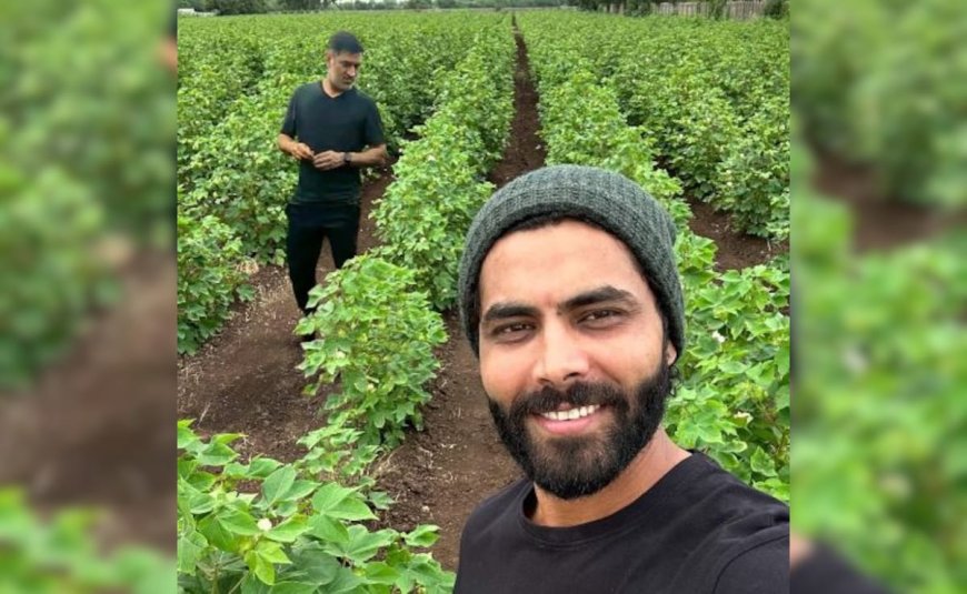 "Thala And Thalapathy": CSK's Viral Post Featuring MS Dhoni, Ravindra Jadeja At A Farm