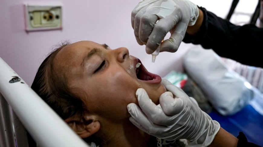 Polio vaccine drive begins in Gaza