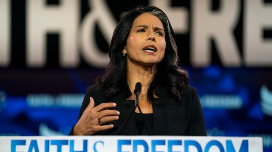 Gabbard says Harris is ‘not to be underestimated’ on debate stage