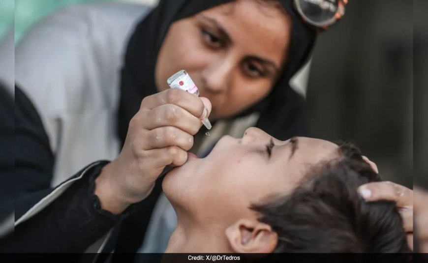 Polio First Phase Vaccination Campaign In Gaza Successful: WHO