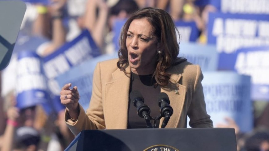 Harris breaks from Biden on capital gains