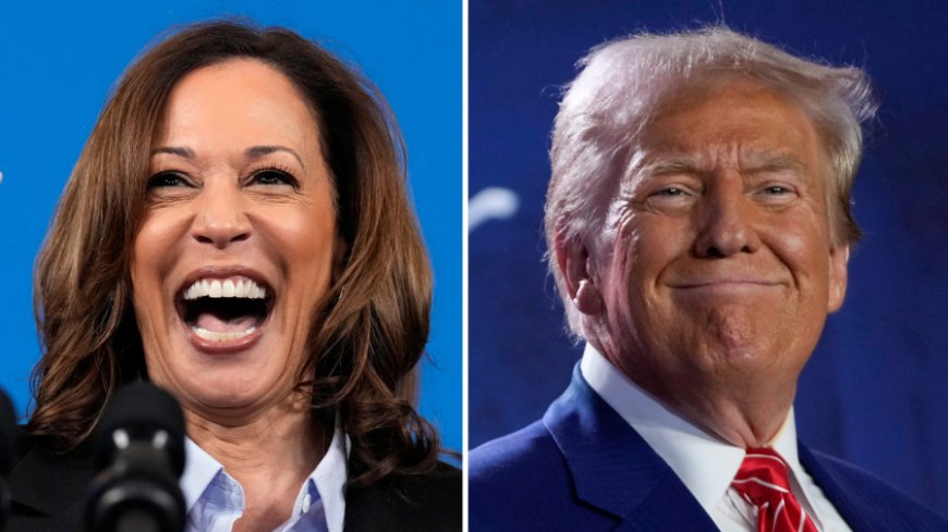 Harris grows lead over Trump among Americans under 45: Poll