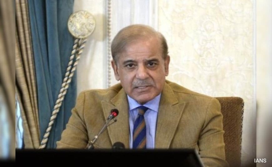 Pak Wants Peaceful Relations With All Its Neighbours, Says Shehbaz Sharif