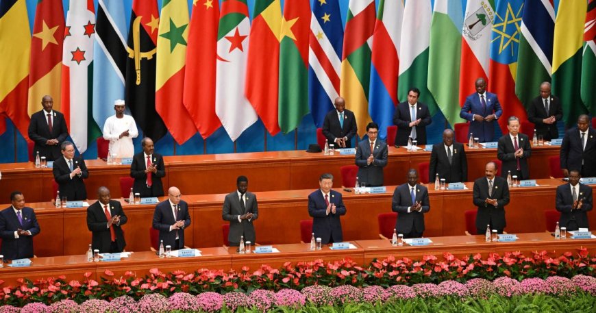 As China, Africa woo each other, who gains more? It’s complex, say experts