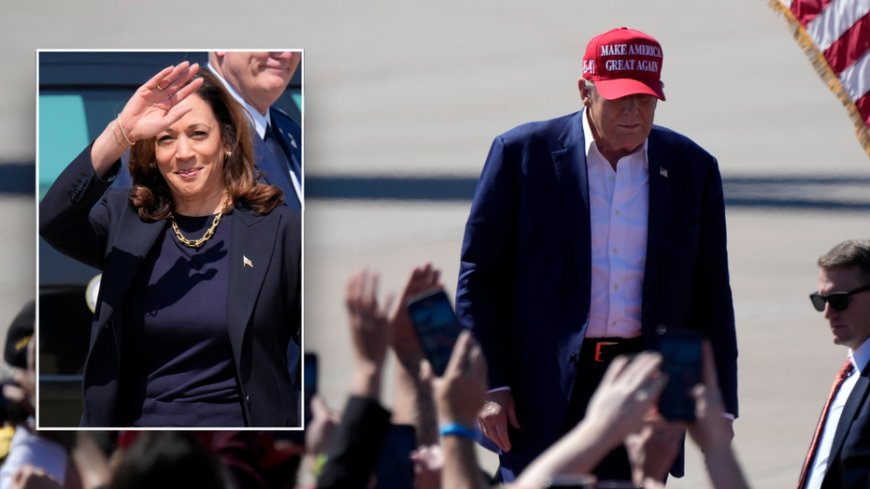 Trump claims Israel will be 'gone' within two years if Harris is elected president: video