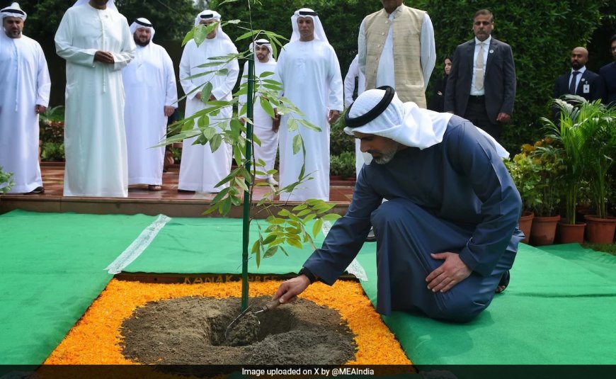 UAE Crown Prince's Rajghat Visit Carries Forward A Unique Tradition