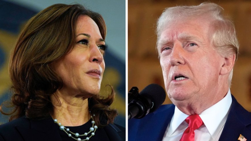 Trump leads Harris by just 2 points in Florida: Poll